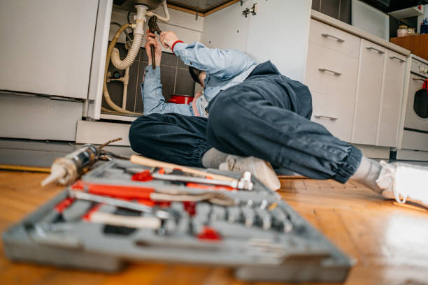 Best Plumbing Services Near Me  in Inverness Highlands North, FL